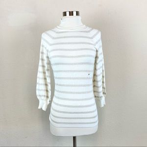 Express Sweater Turtleneck Striped